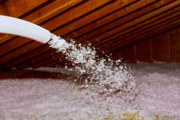 Best Eco-Friendly or Green Insulation Solutions  in Lake Wylie, SC